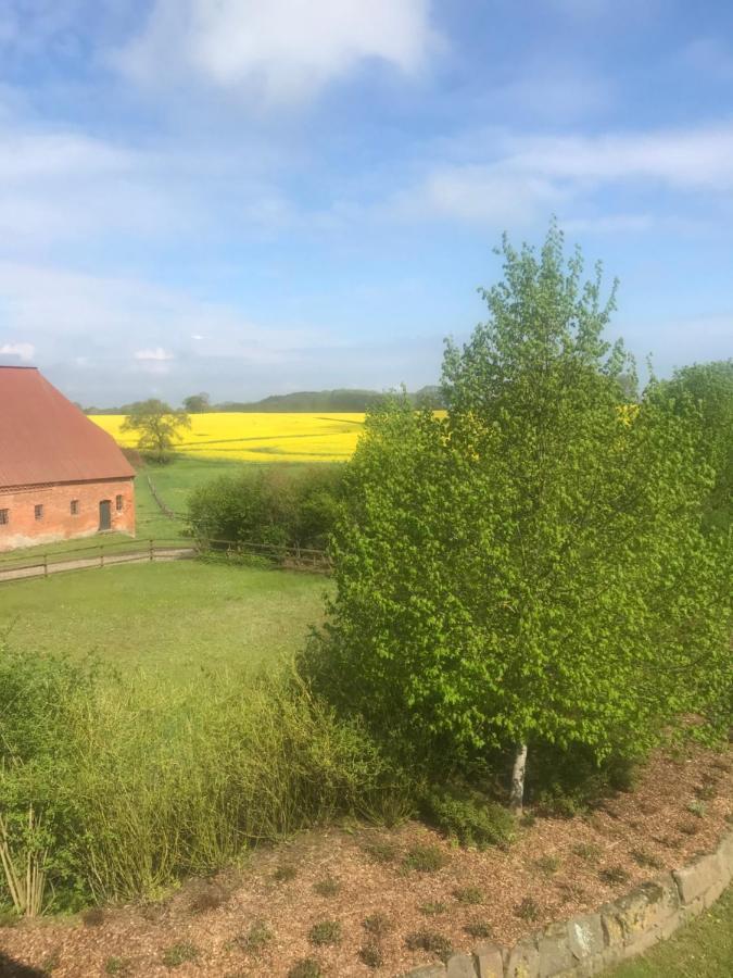 Schmuckstueck In Ostseenaehe Surendorf Exterior foto